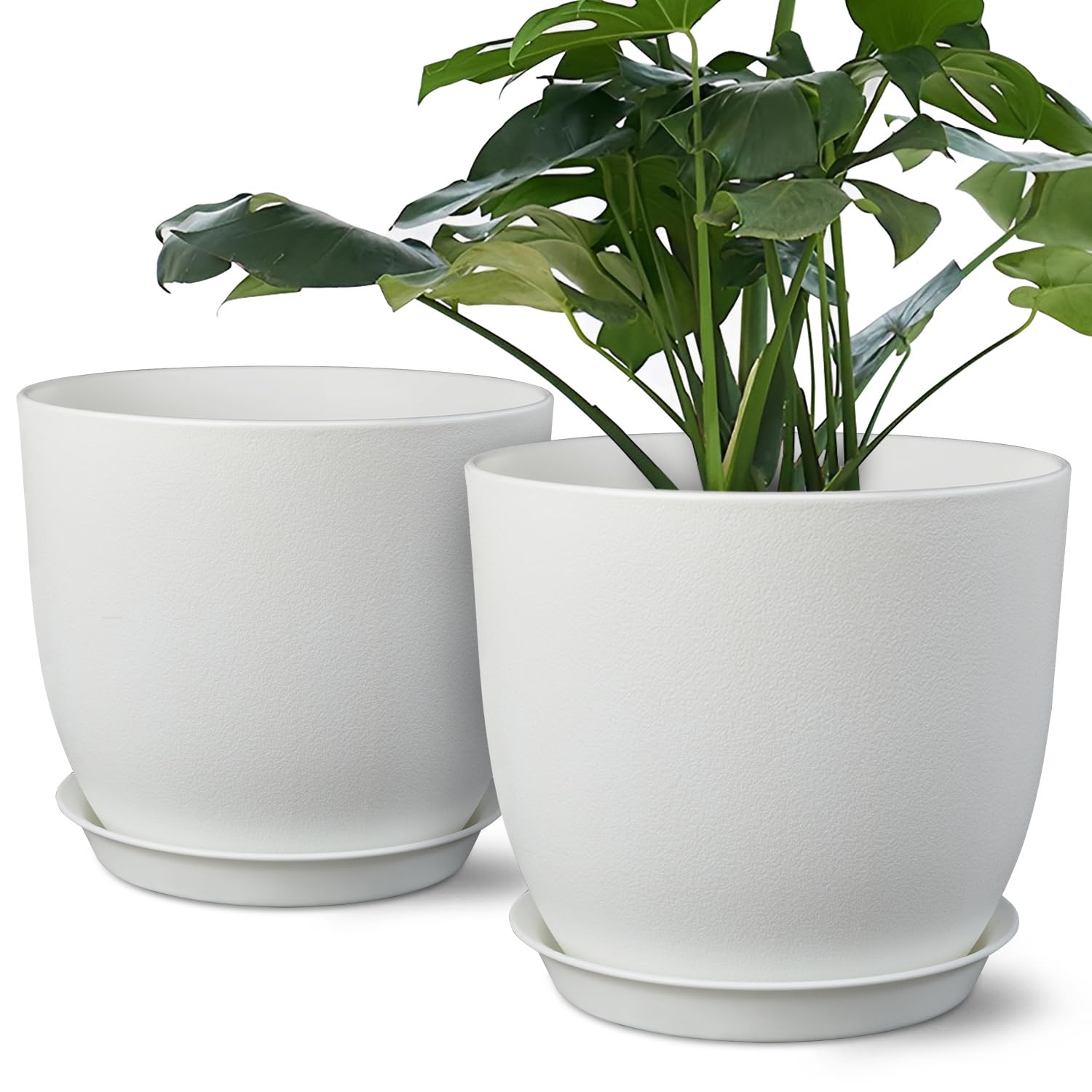 Ferlypote 8 Inch white plant pot front view