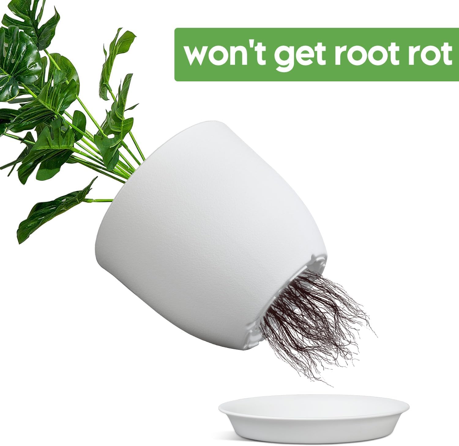 Ferlypote plant pot with succulent plant inside