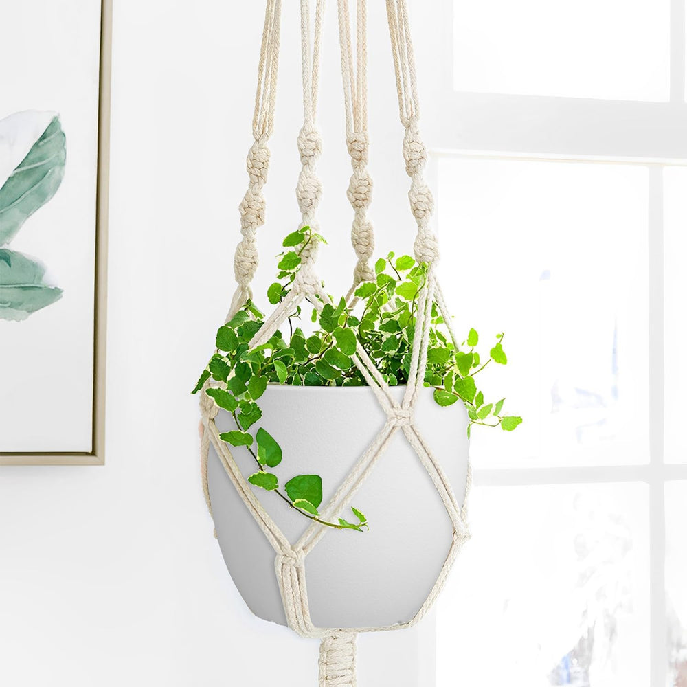 Ferlypote plant pots showing drainage feature