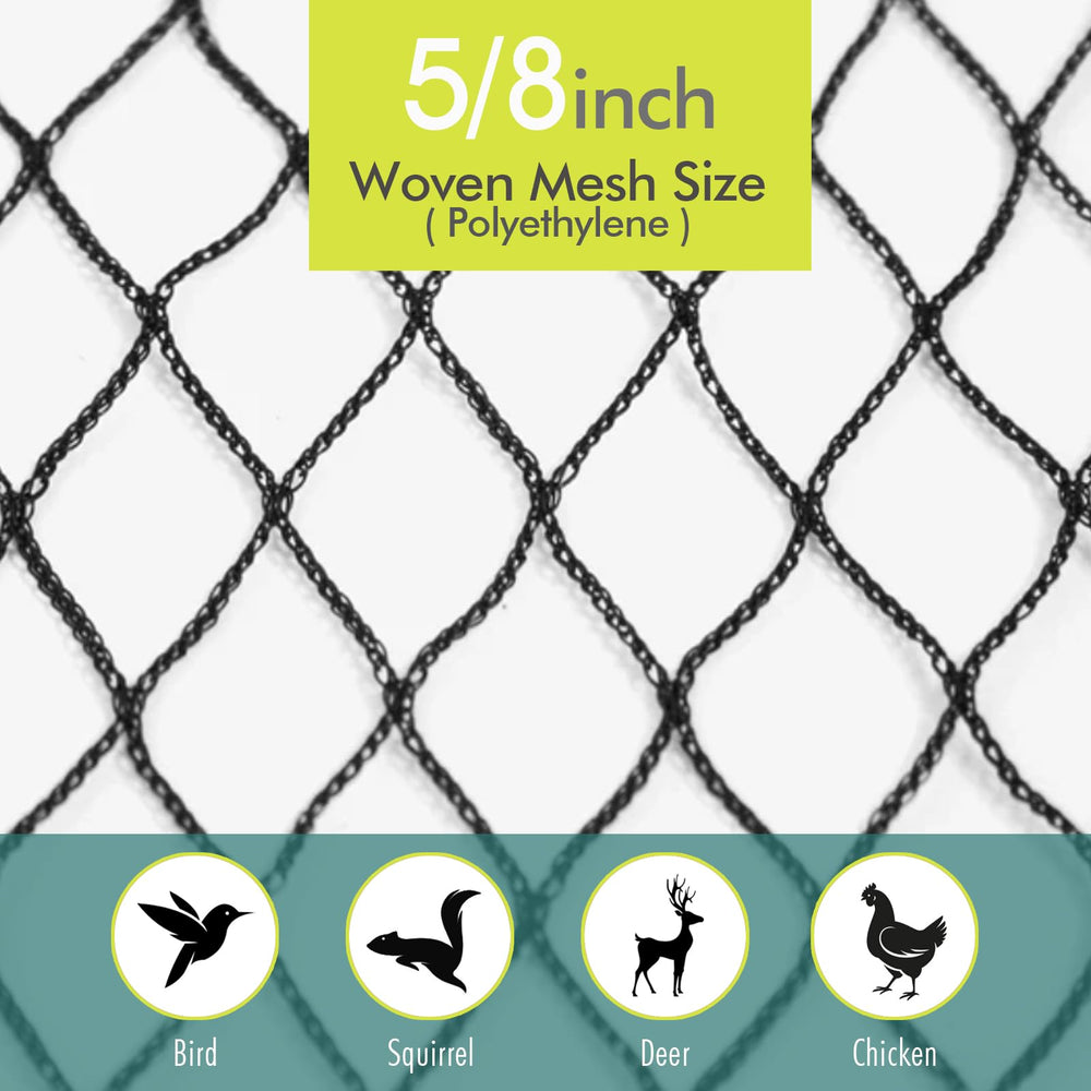 Fetanten Bird Netting secured with twist ties