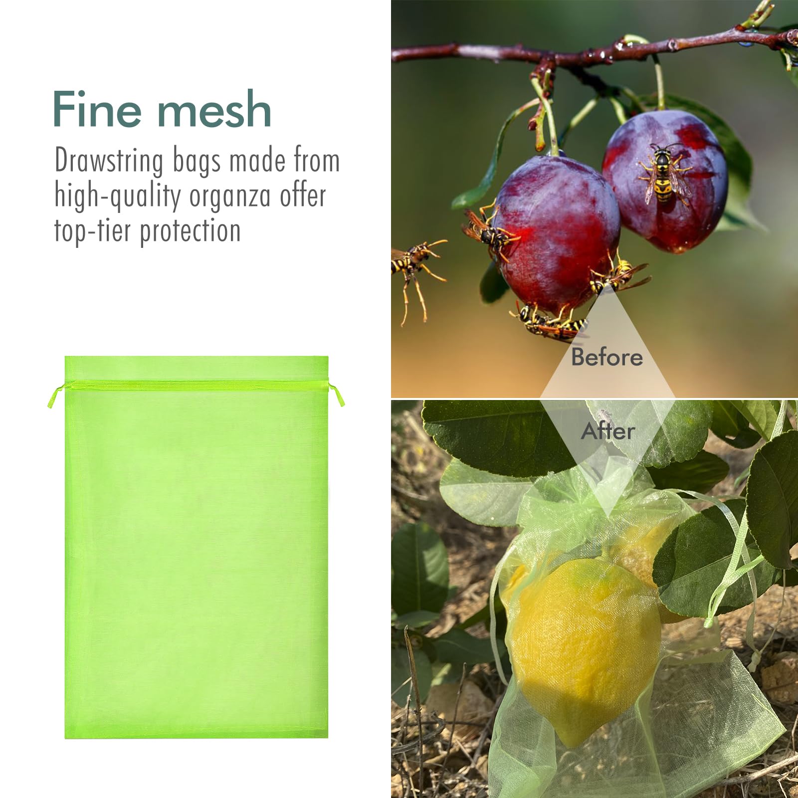 Fetanten Fruit Protection Bags pack of 50