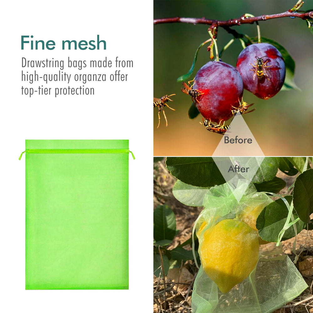 Fetanten Fruit Protection Bags pack of 50