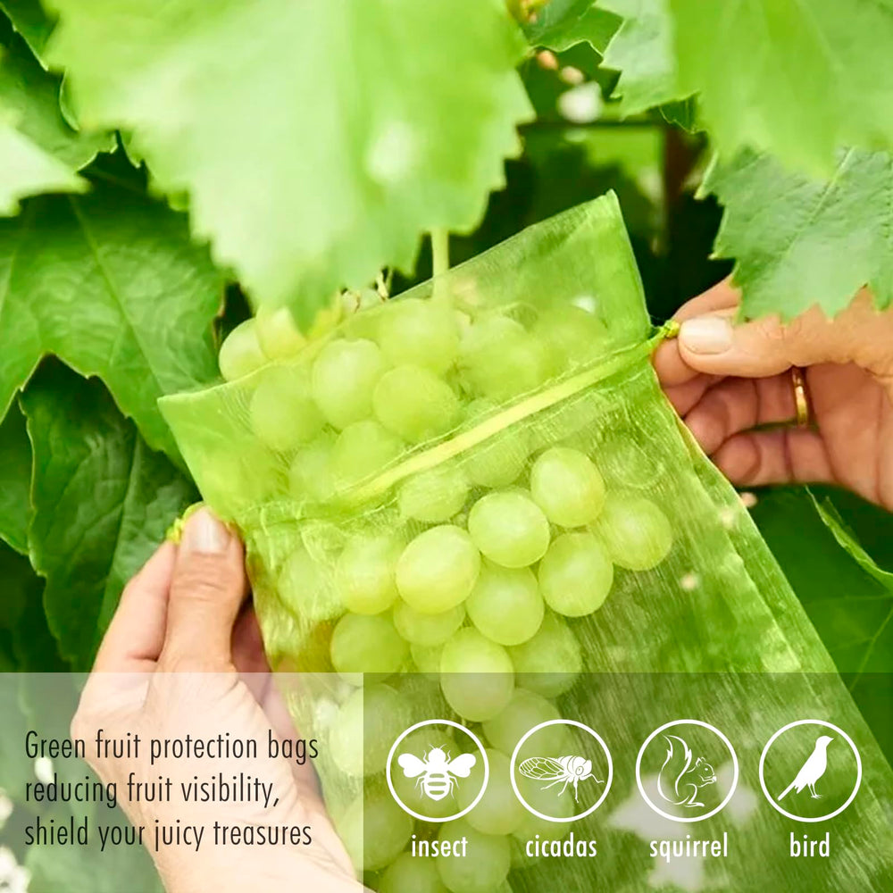 Fetanten Fruit Protection Bags showing contents with fruits