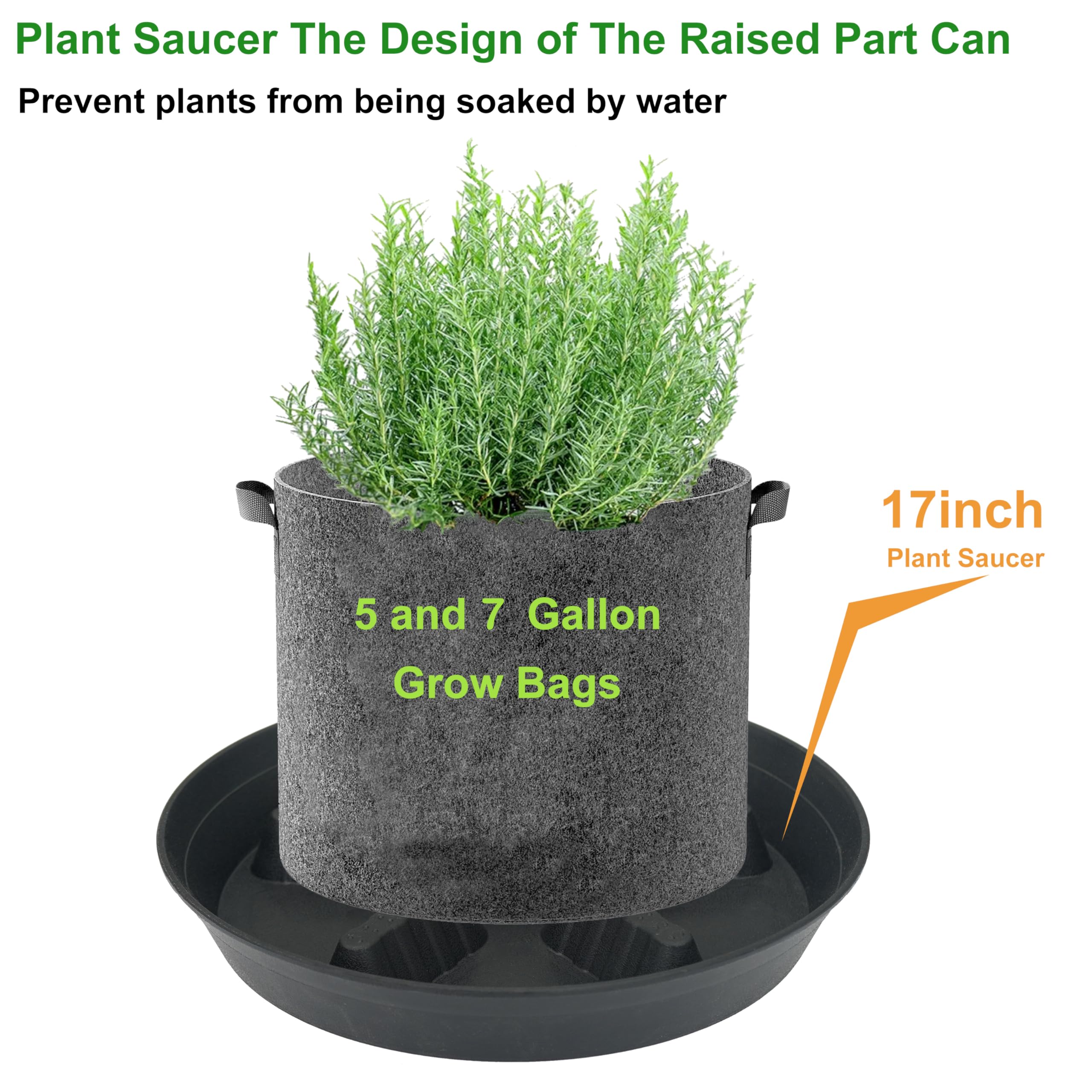 Feyvdzv black plant saucer next to indoor plants
