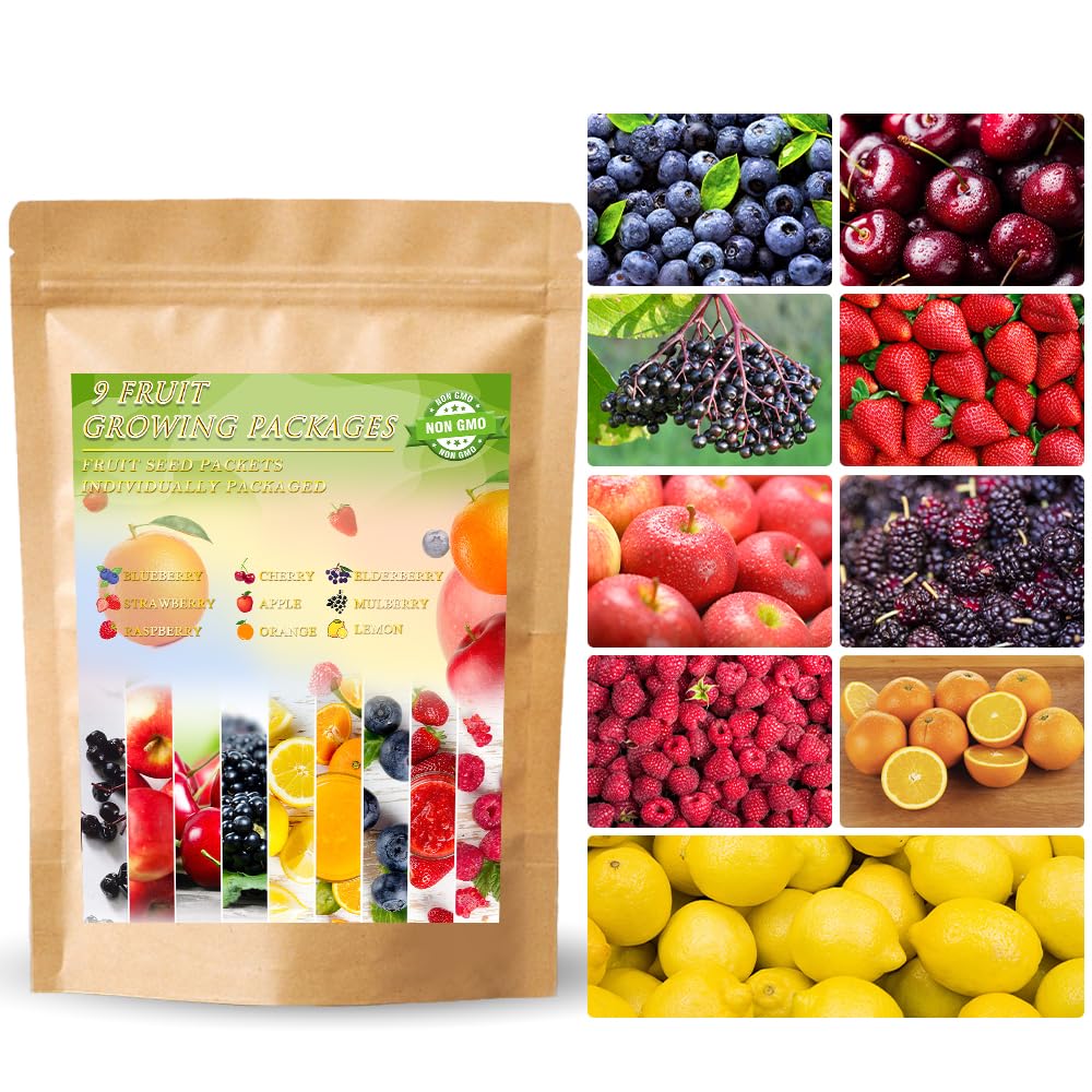 Ficoszo 1200+ Mixed Fruit Seeds pack with assorted fruit varieties