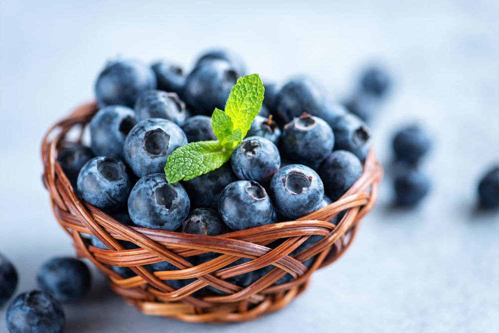 Ficoszo 1200+ Mixed Fruit Seeds packaging details