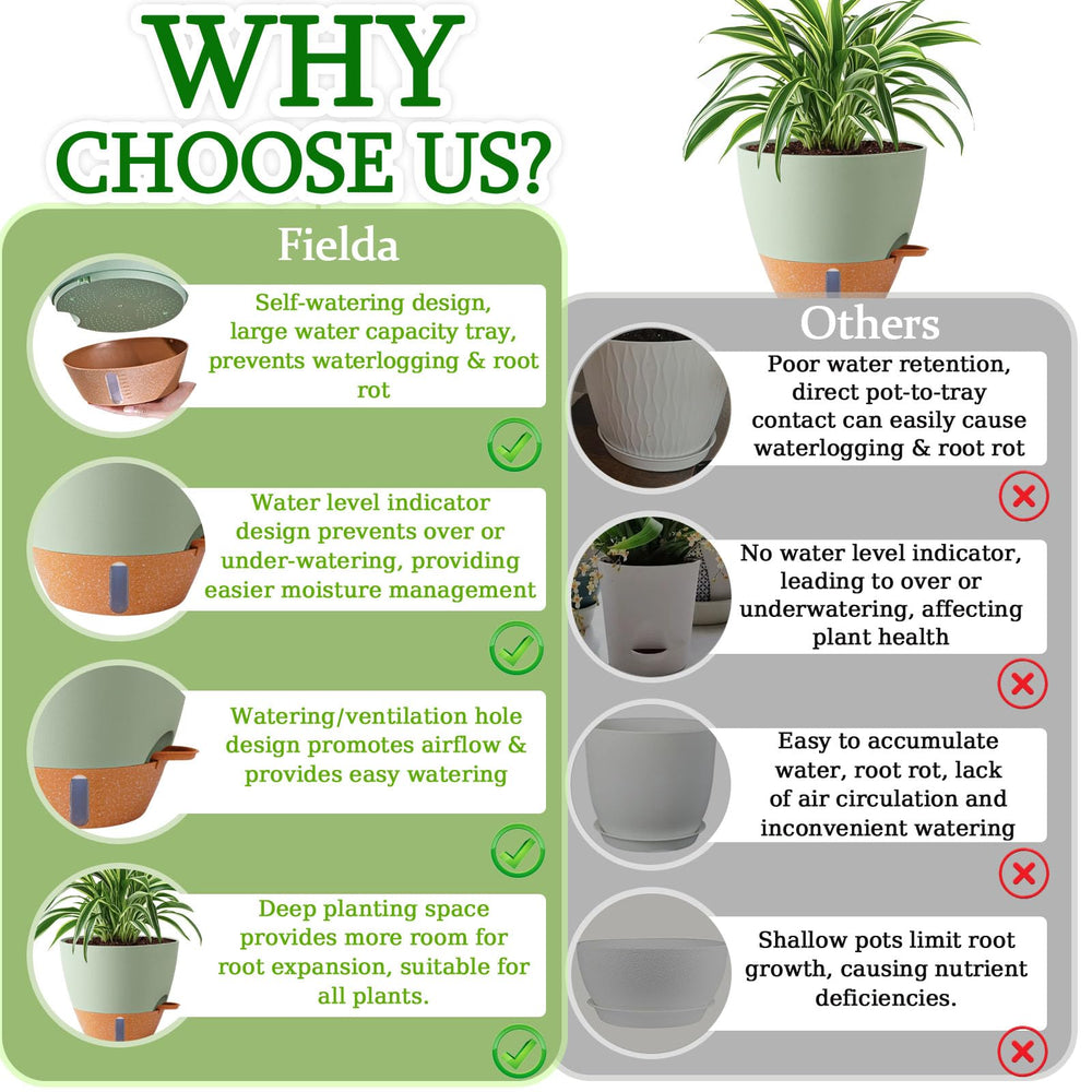 Fielda 10 Inch Plant Pots packaging view