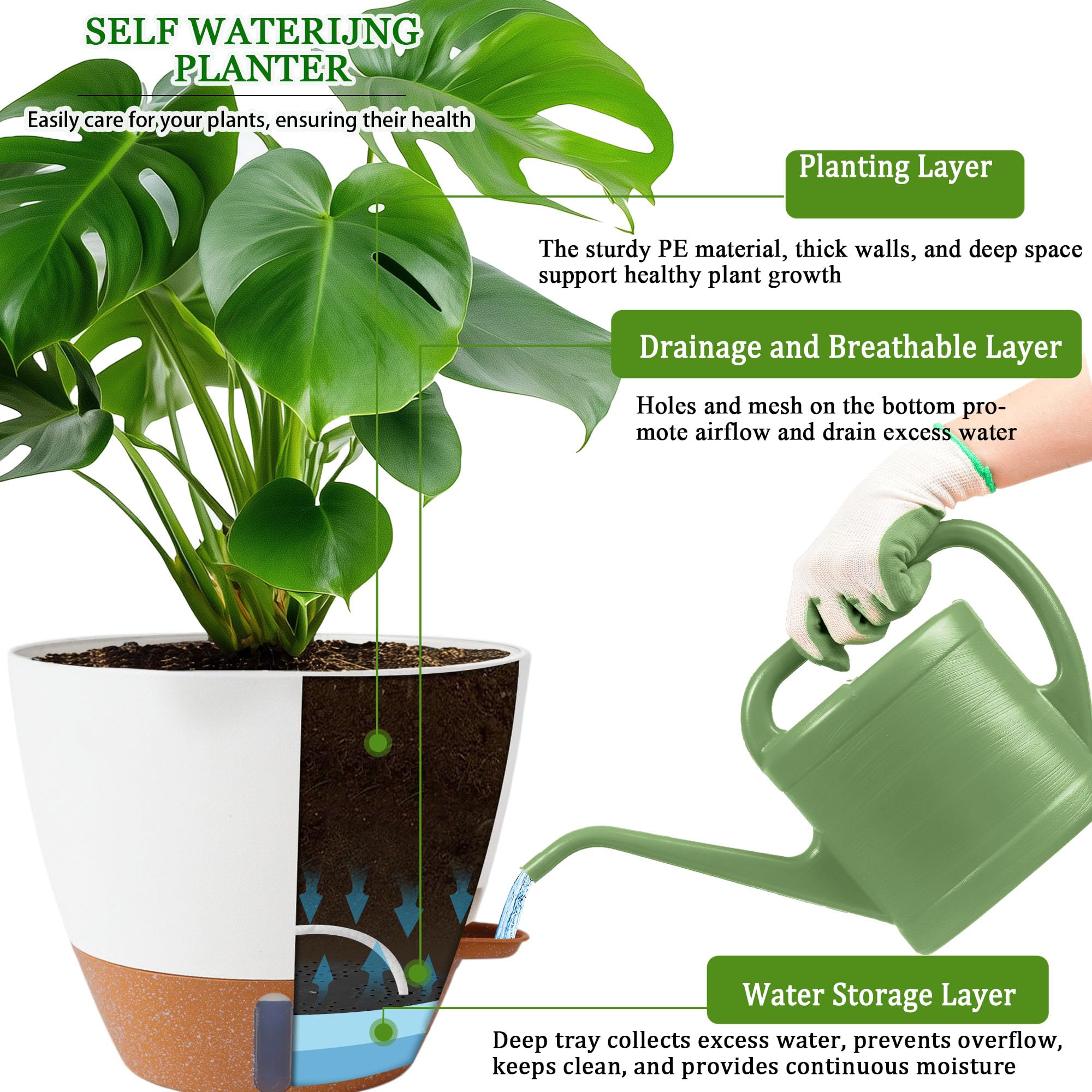 Fielda 10 inch planter showing detachable saucer tray