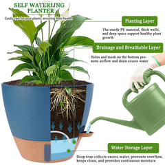 Fielda 10 inch planter with detachable saucer tray