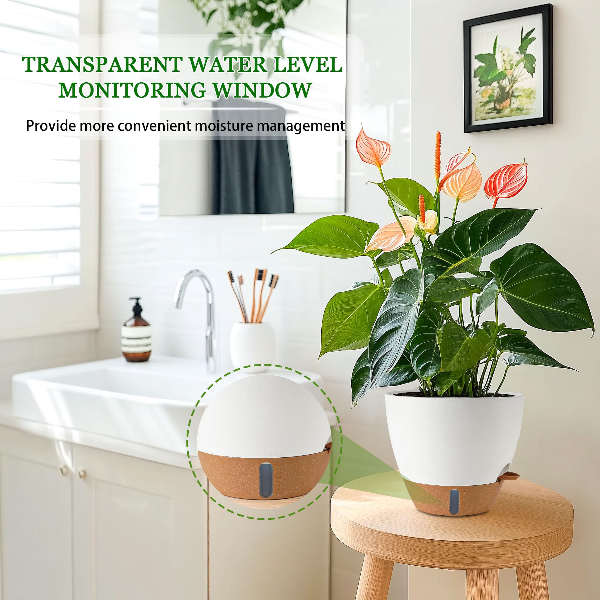 Fielda 10 inch planter with various indoor plants