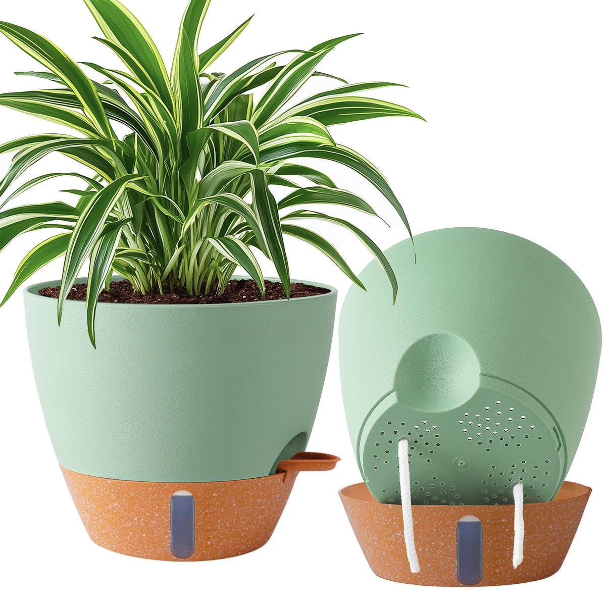 Fielda 10 Inch Self-Watering Planter, Green, front view