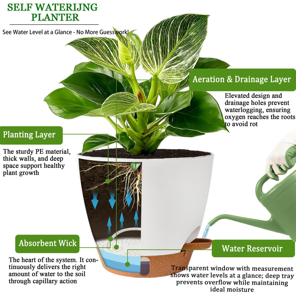 Fielda 5-inch pot ideal for small indoor plants
