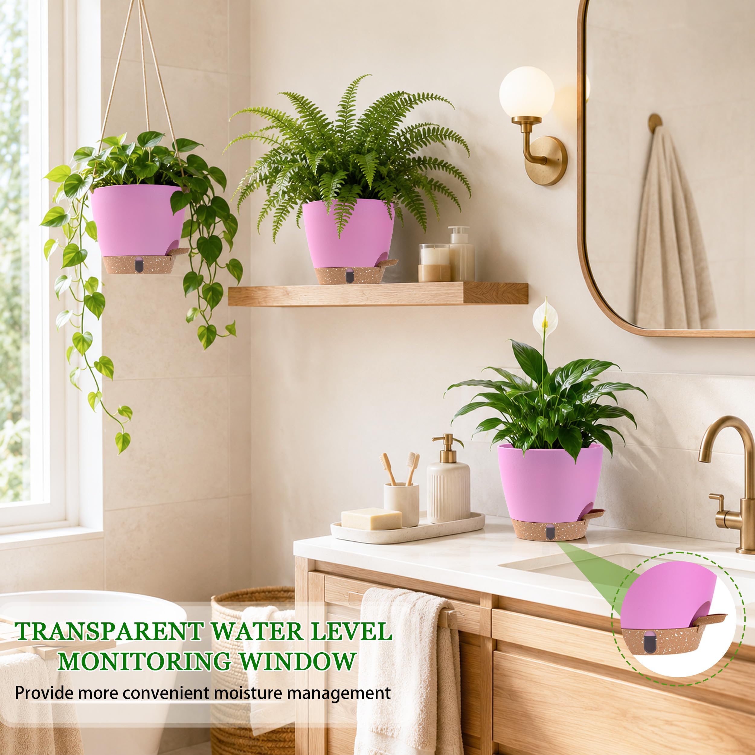 Fielda 6 inch self watering pot on a windowsill