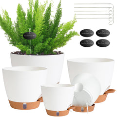 Fielda 8-inch self-watering pot with absorbent cotton wick