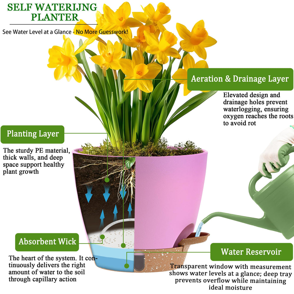 Fielda 8 inch self-watering pot with detachable tray