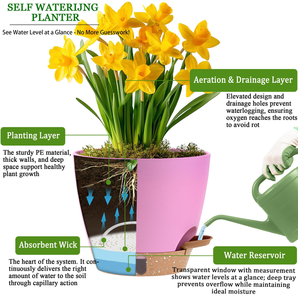 Fielda 8 inch self watering pot with removable tray