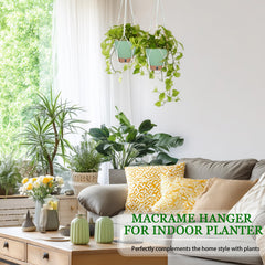 Fielda Hanging Planter with rustic metal chain