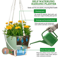 Fielda hanging planters with rustic metal chains