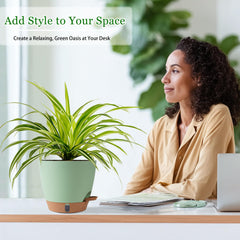 Fielda plastic planter 10 inch with plants inside