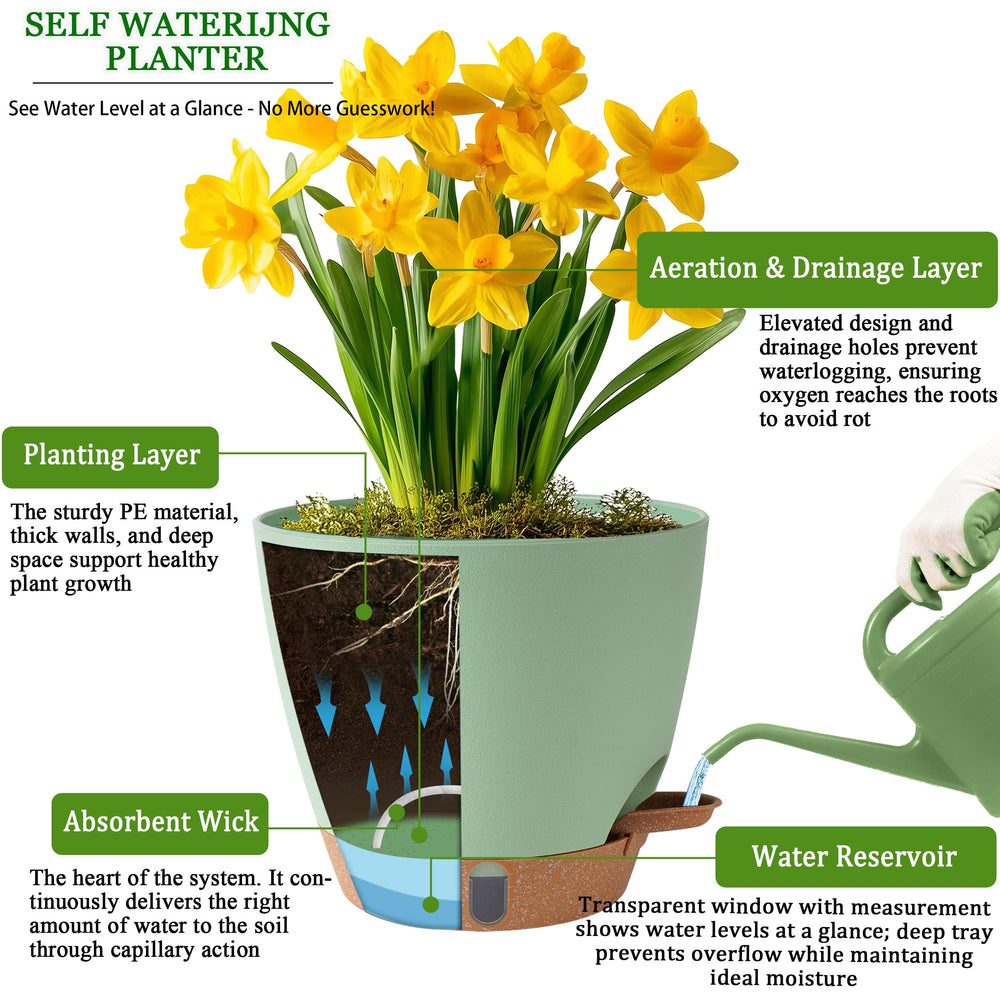 Fielda pots with drainage holes and removable tray