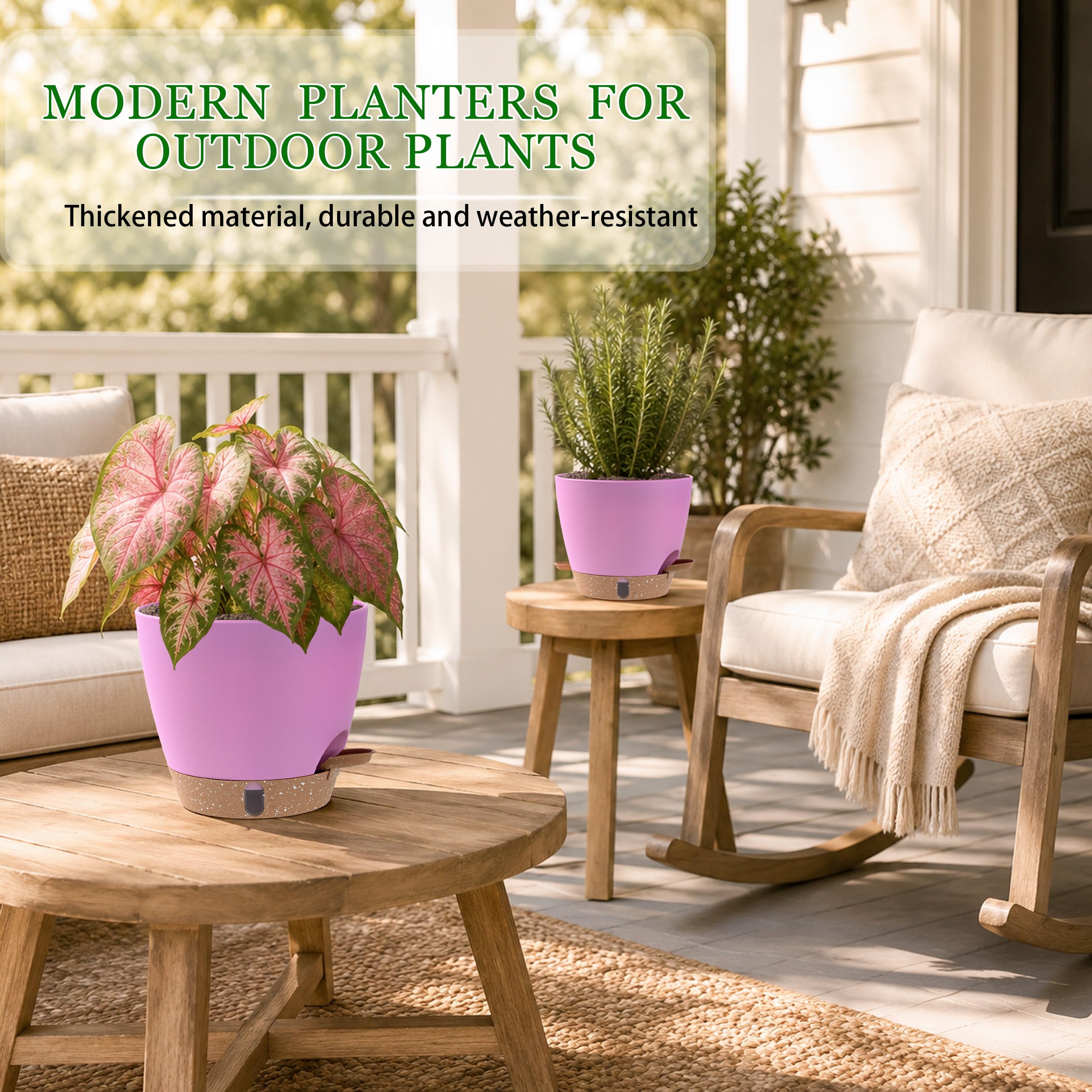 Fielda self watering pots arranged in a stylish display