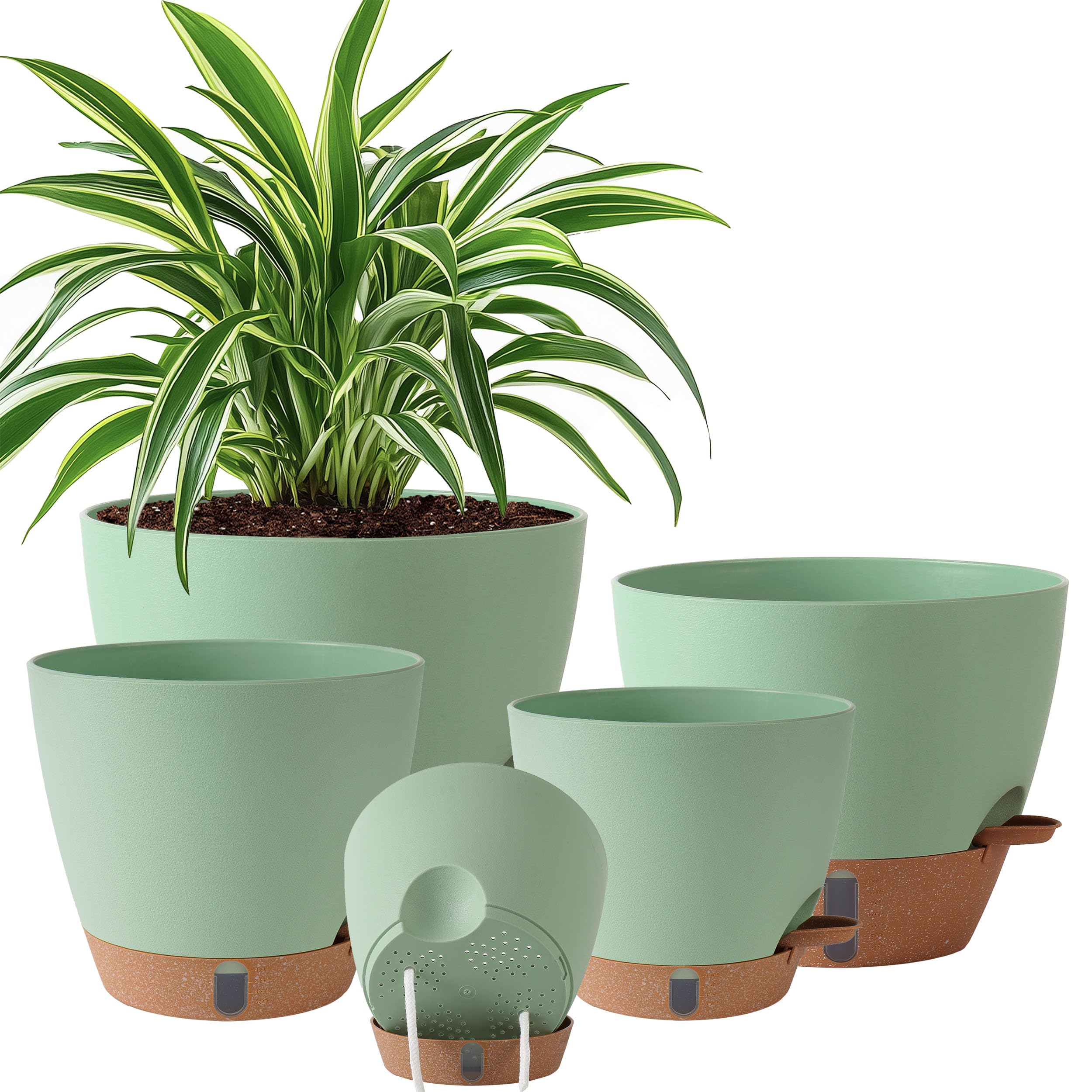 Fielda self watering pots set of 5 with green colour