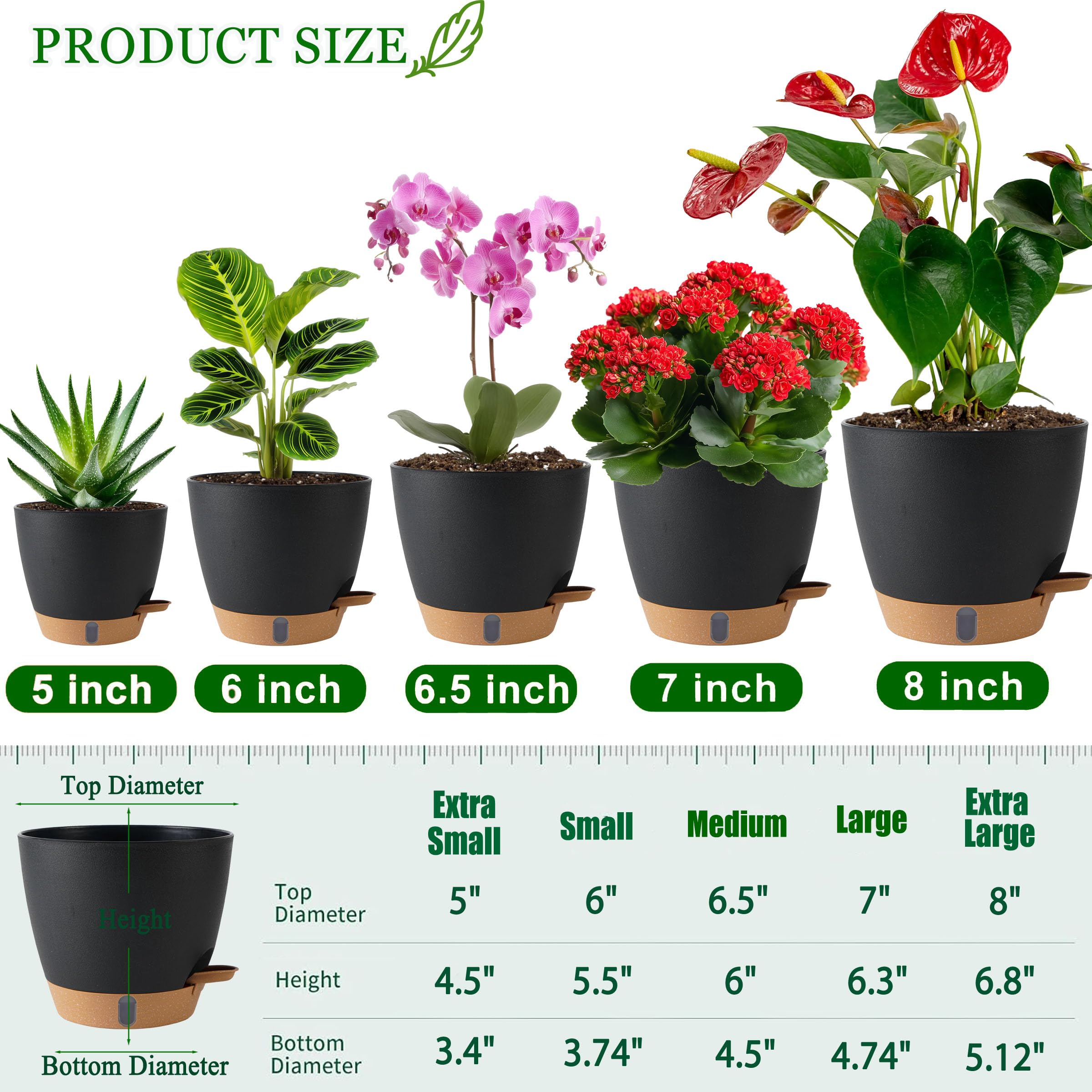 Fielda self-watering pots set packaging display