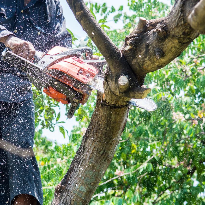 Fifchall 10-inch chainsaw chain with drive links detail