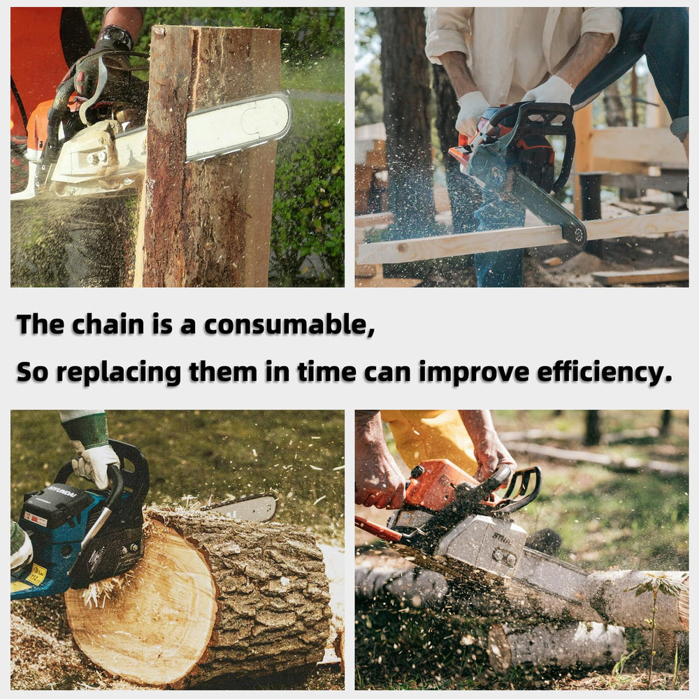 Fifchall chainsaw chain in protective oil