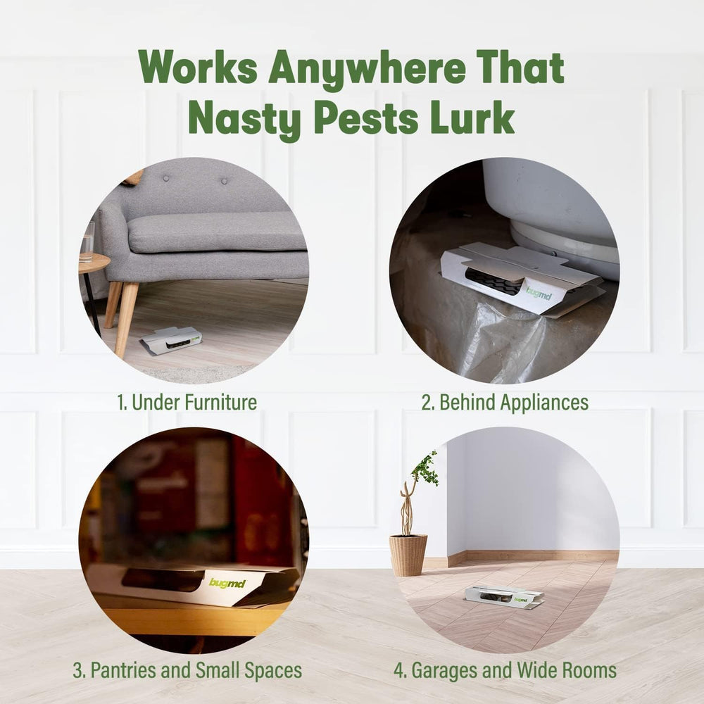 Filled BugMD trap showcasing captured pests