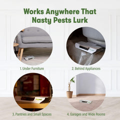 Filled BugMD trap showcasing captured pests