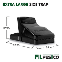 Filpestco Large Rat Trap pack of 6 displayed