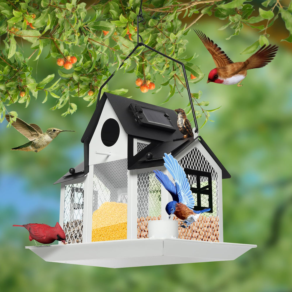 FIMOFIDRE Solar Bird Feeders House dimensions displayed