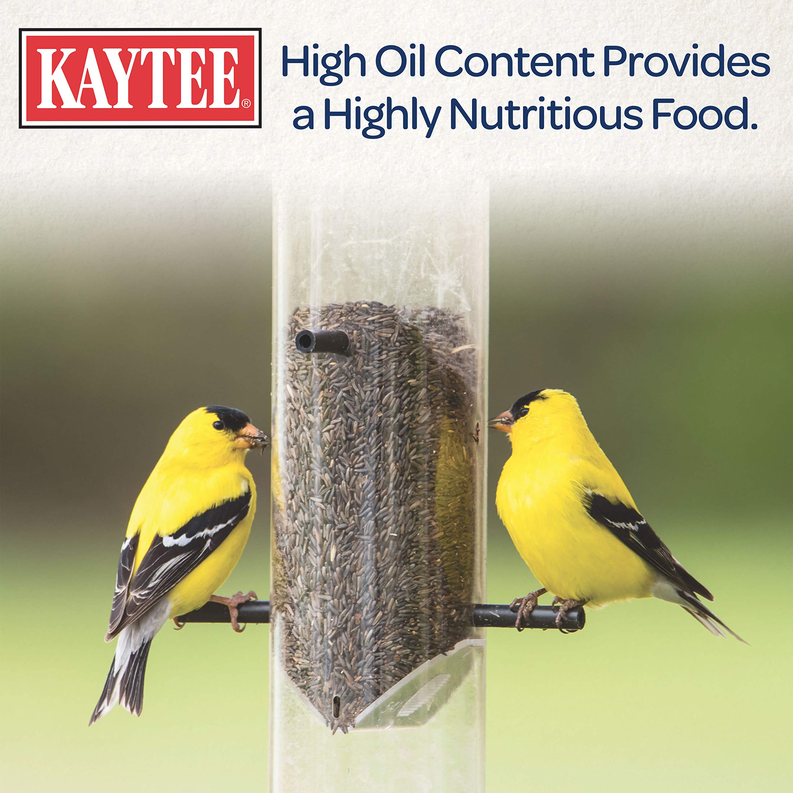 Finches feeding on Kaytee Nyjer Seed