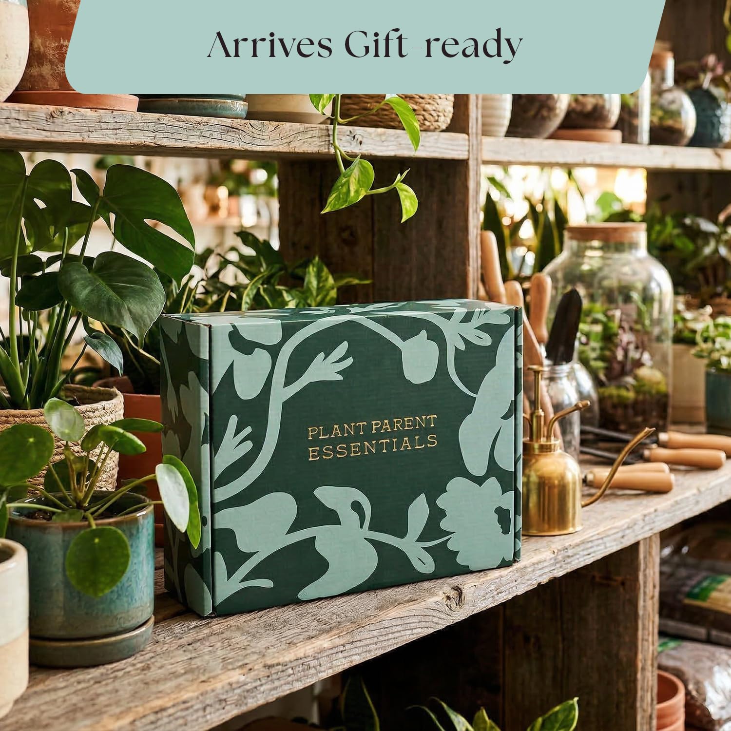 Finished gift box of Rosy Soil Plant Parent Essentials