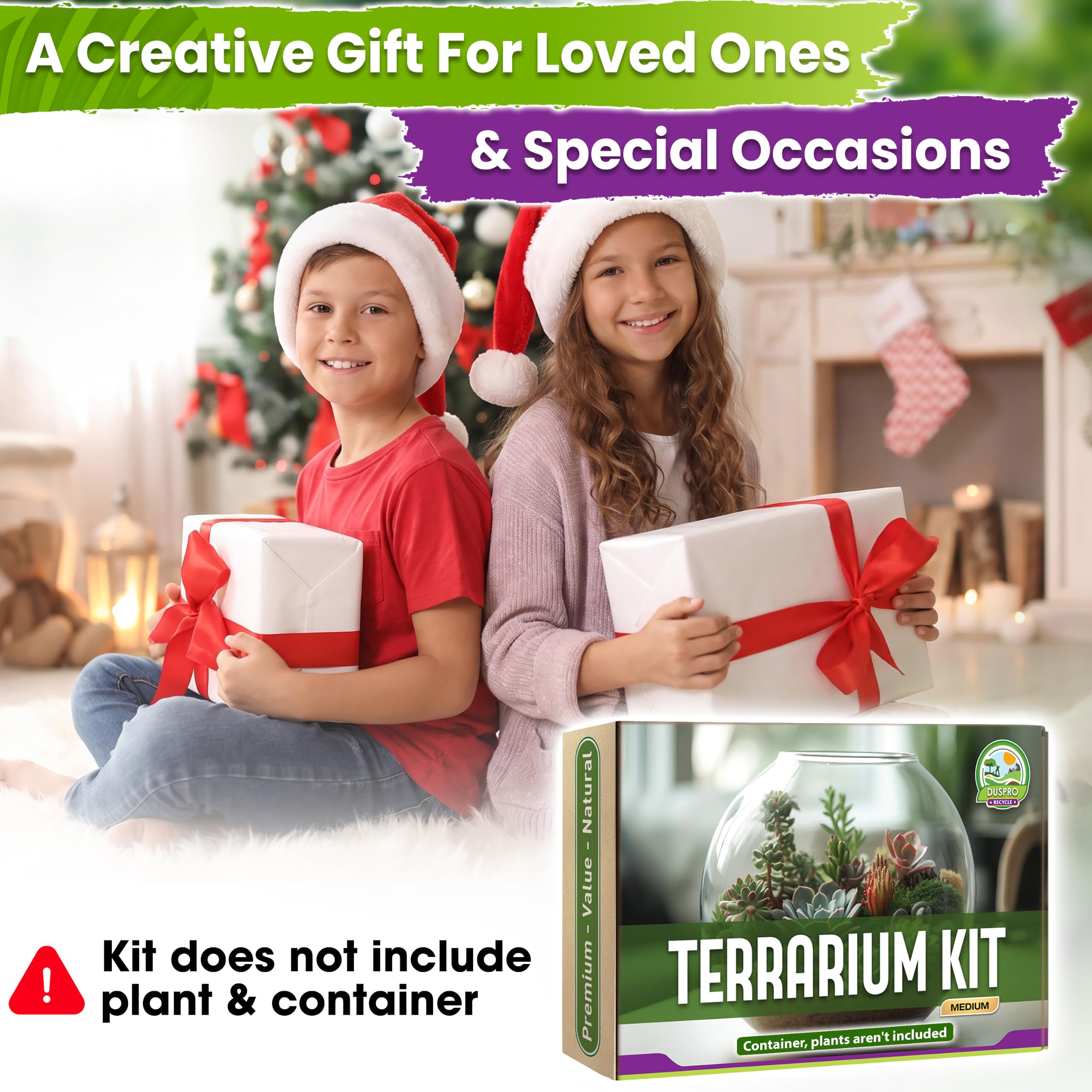 Finished terrarium showcasing creative design