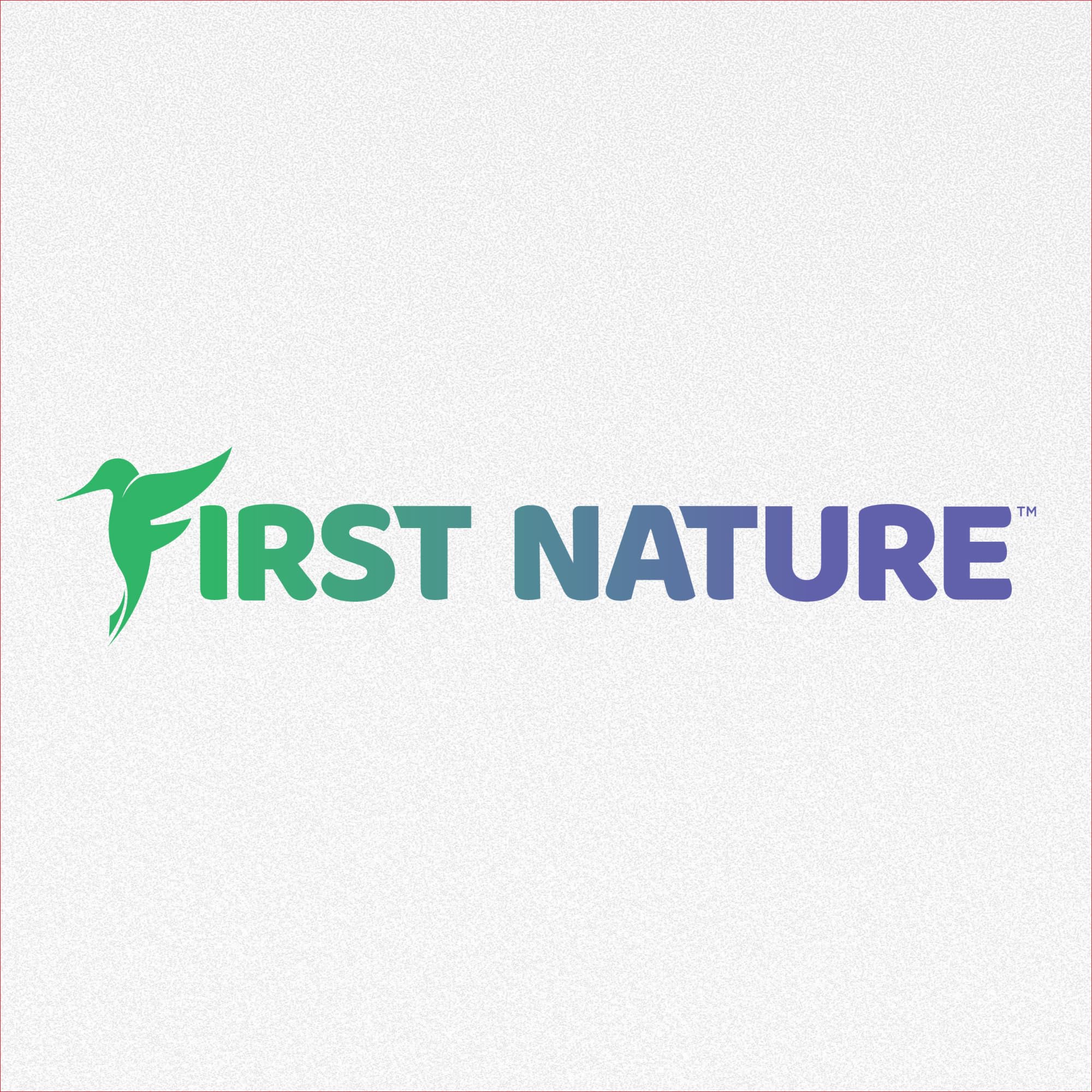 FIRST NATURE Hummingbird Feeder in a natural garden setting