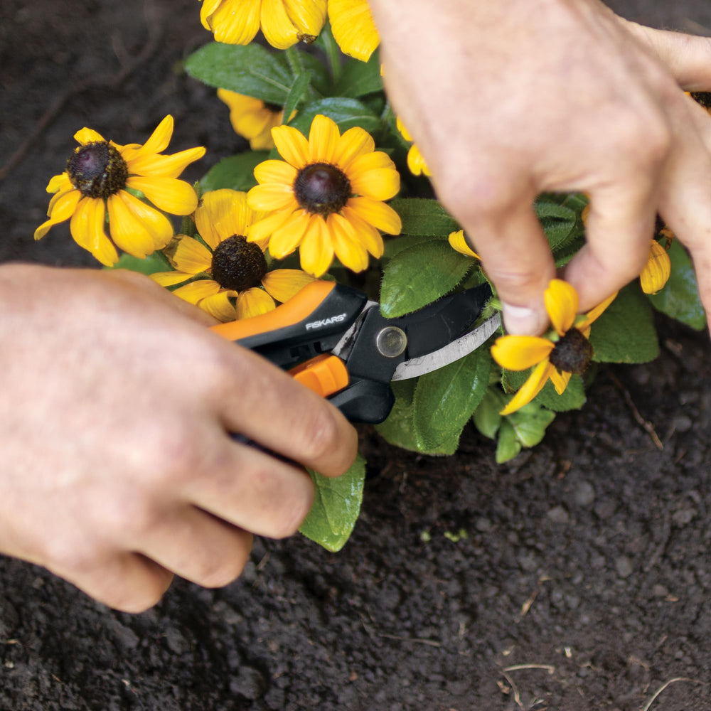 Fiskars Floral Pruning Shears size comparison with standard scissors