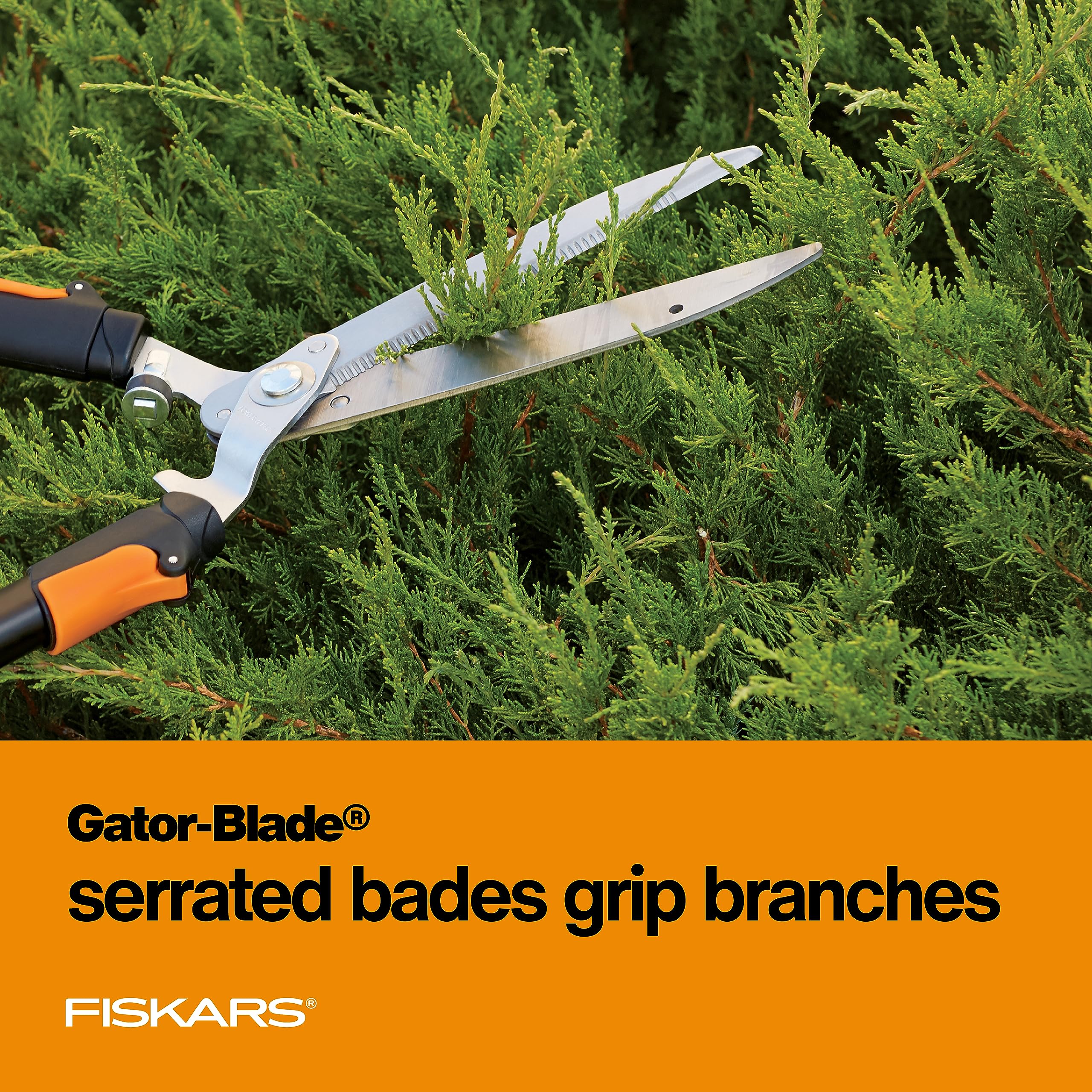 Fiskars hedge shears in action pruning a bush
