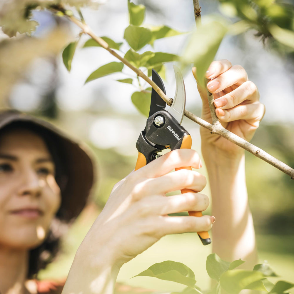 Fiskars pruning shears demonstrating clean cut on live growth