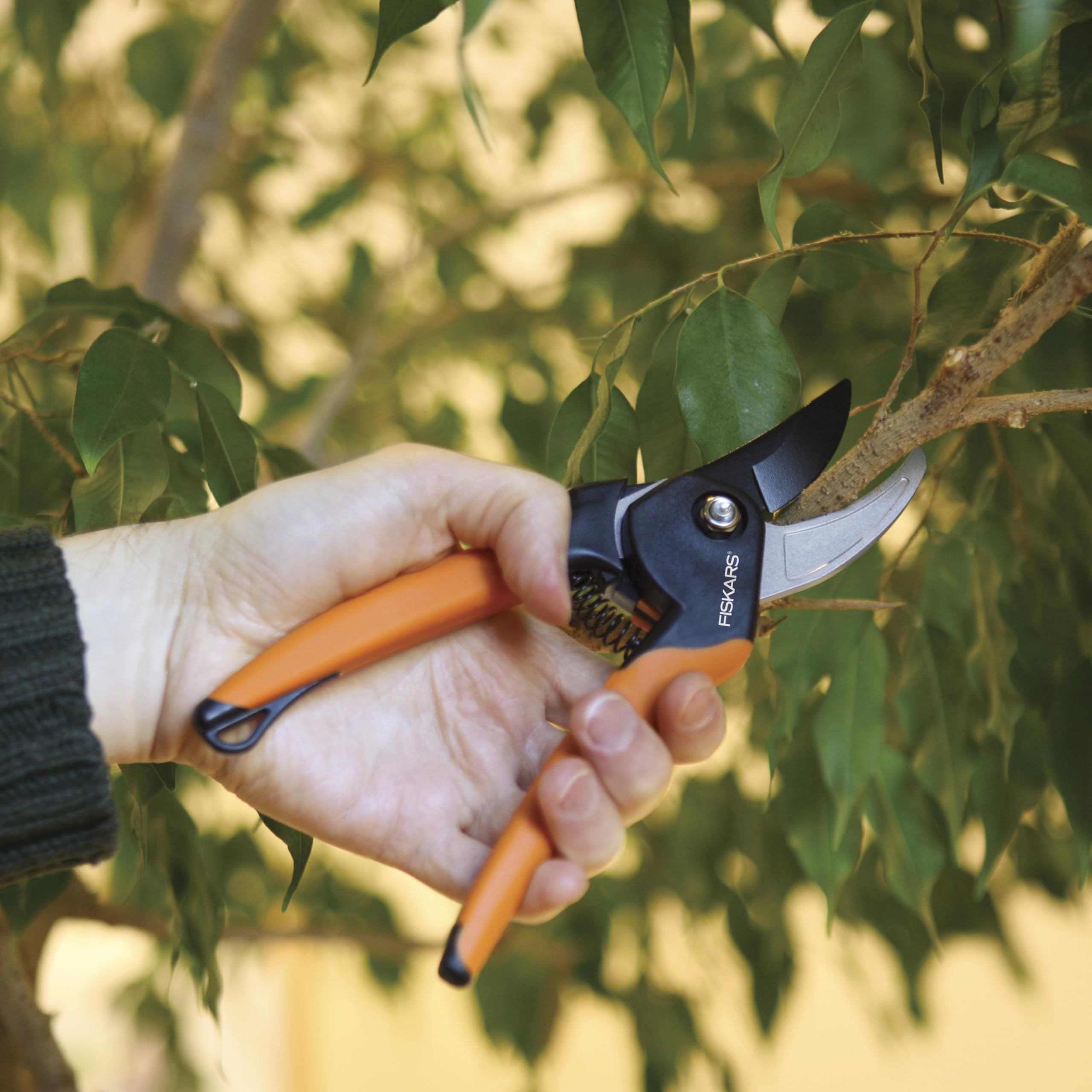 Fiskars pruning shears with ergonomic SoftGrip handle