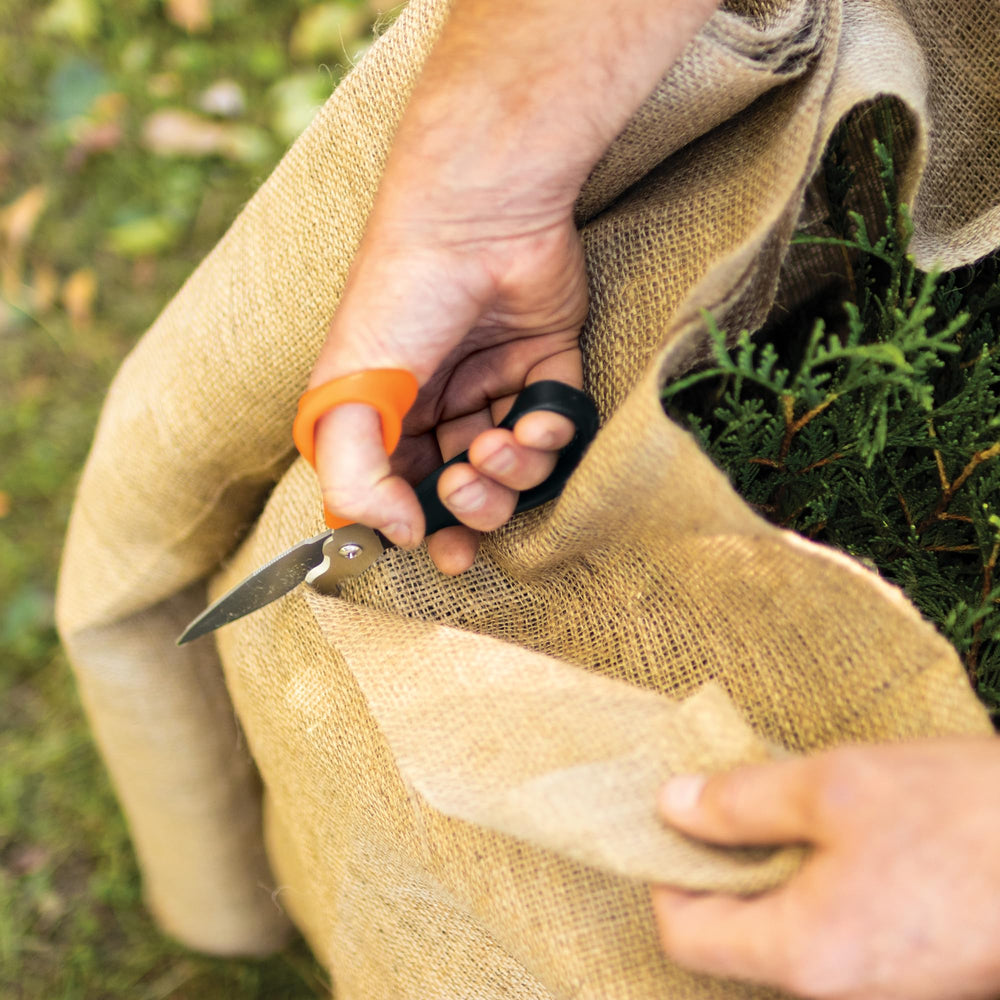Fiskars scissors showing precision-ground steel blades