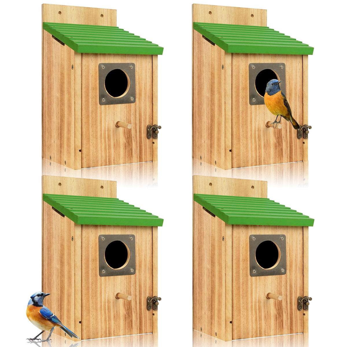 Fitraho 4 Pack Cedar Bird Houses in Green, front view