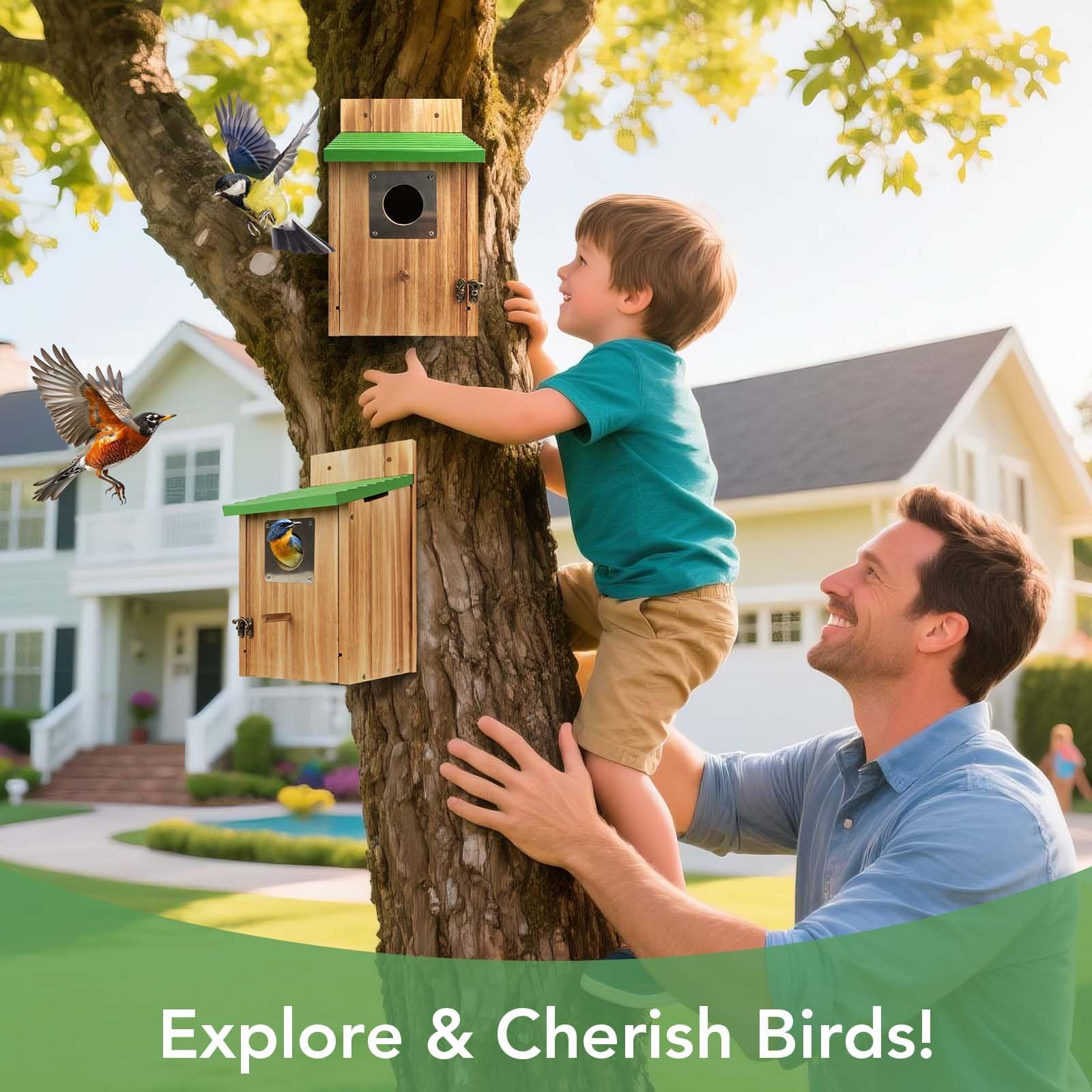Fitraho bird house assembly project with tools