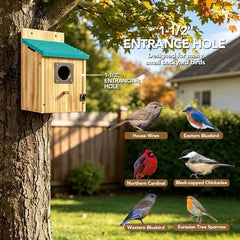 Fitraho bird house with front opening for easy cleaning