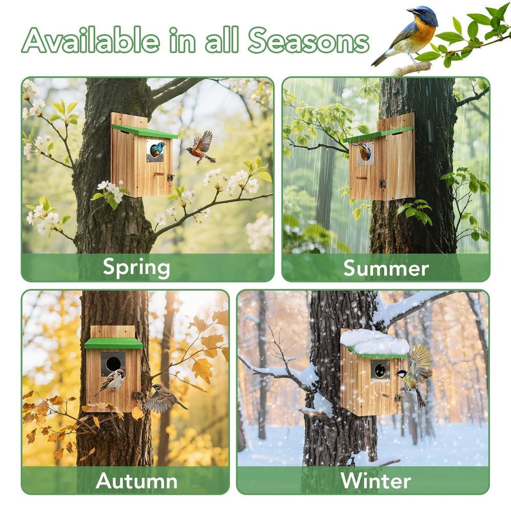 Fitraho bird houses hanging in a garden