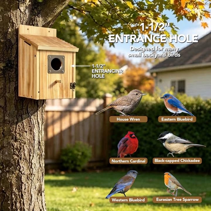 Fitraho birdhouse interior showcasing fledgling ladder