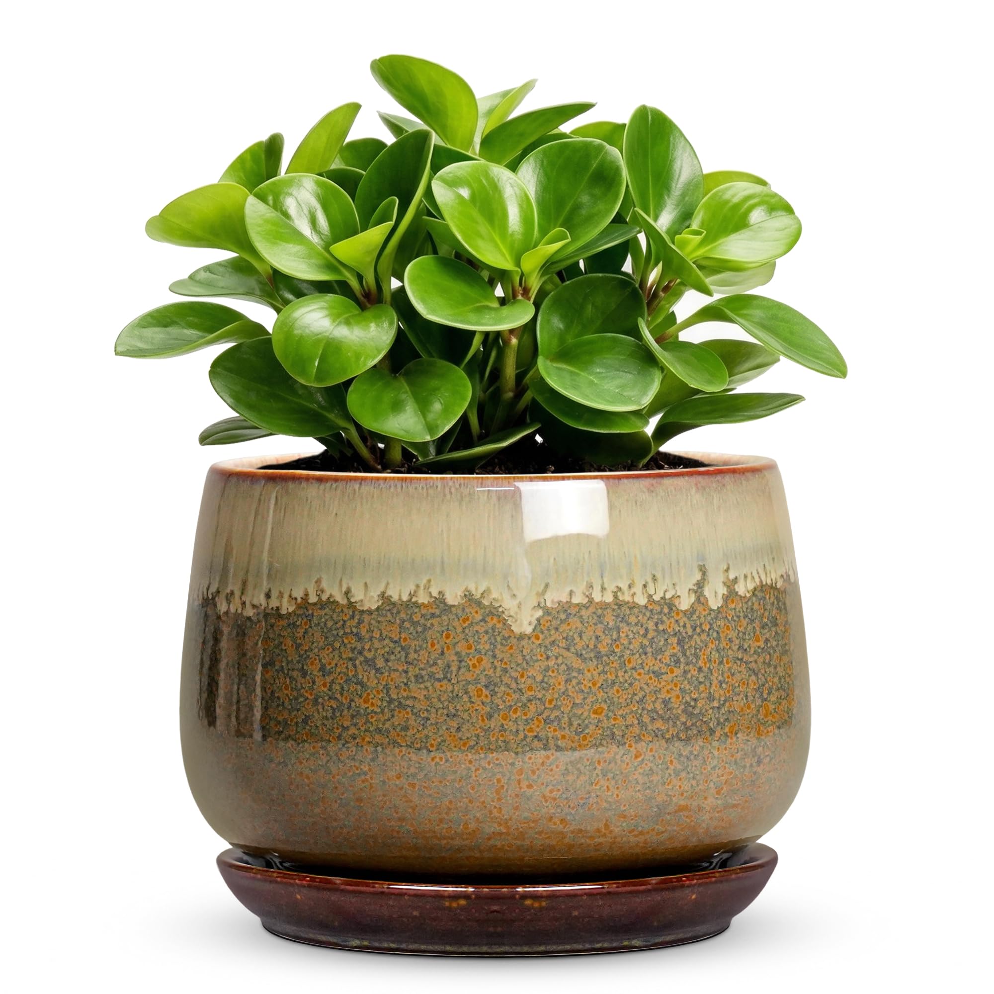 Fivepot 6 Inch Ceramic Plant Pot front view with drainage mesh