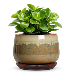 Fivepot 6 Inch Ceramic Plant Pot front view with drainage mesh