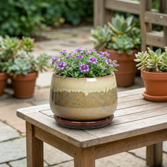 Fivepot 6 Inch plant pot on a wooden shelf